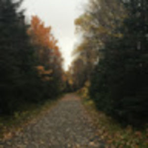 Meet your Posher, Gabrielle